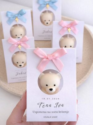 Teddy M u kartonu